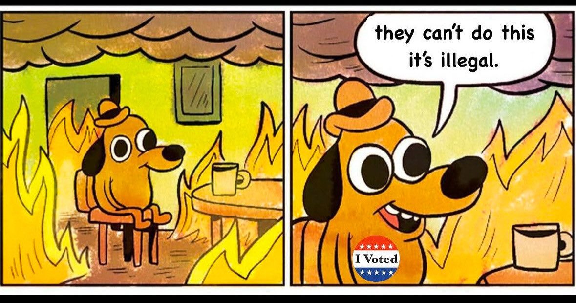 garlic_wife's tweet image. 