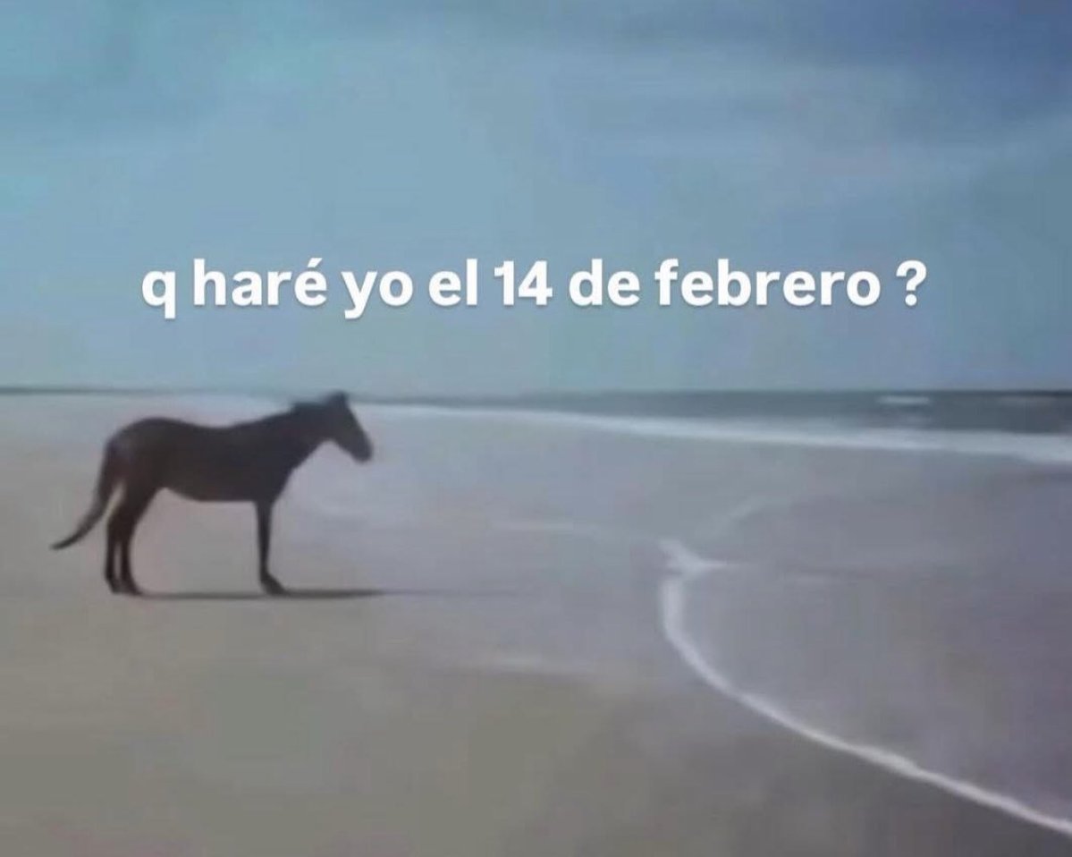 cxrrly's tweet image. 