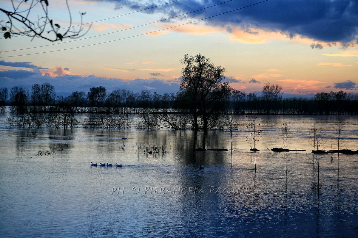 @ferrarisergio4 tweet media