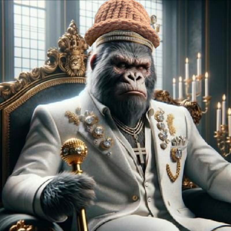 dogwifcoin's tweet image. hat tech