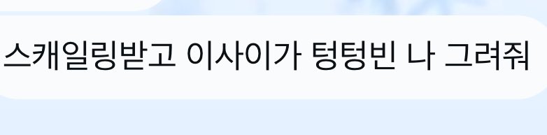 몽키버드 tweet media