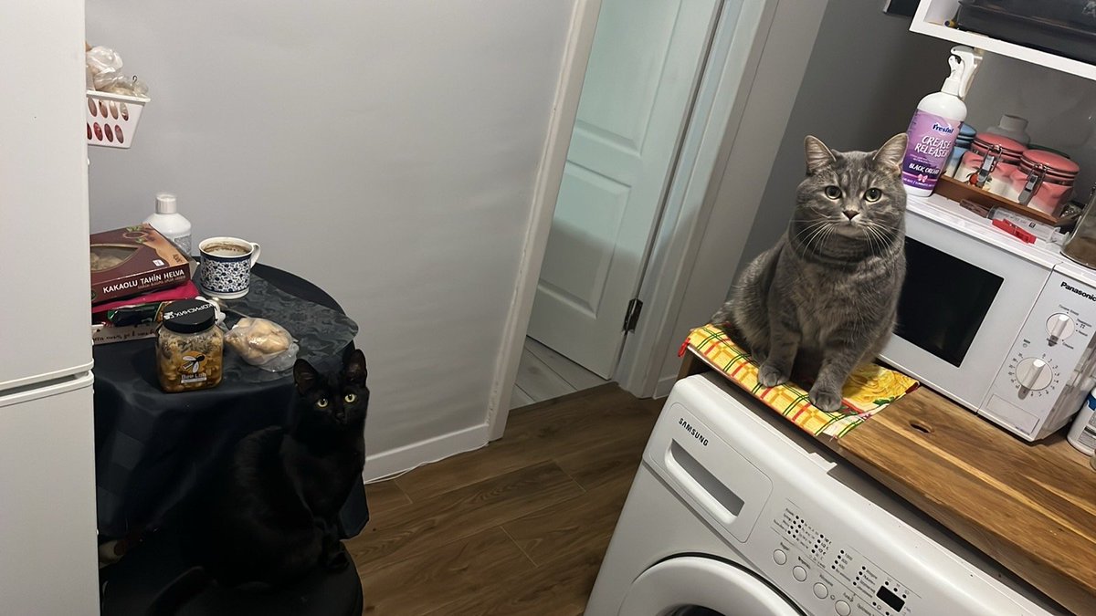 ПідйомПеревертень tweet media