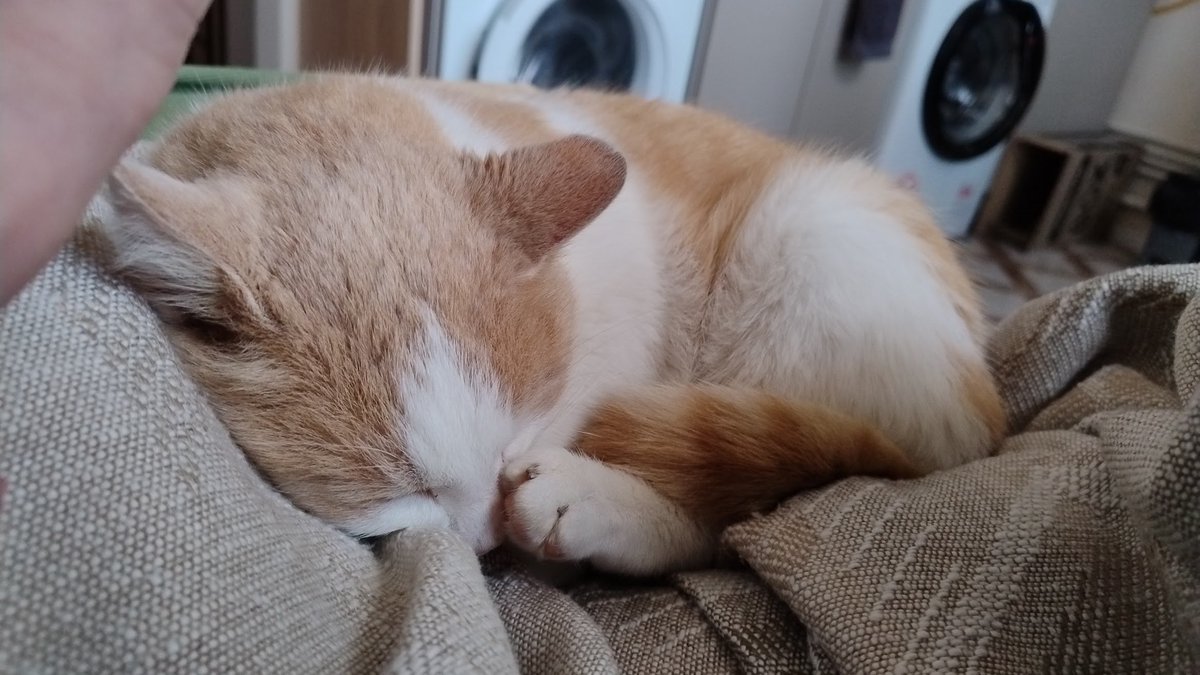 ПідйомПеревертень tweet media