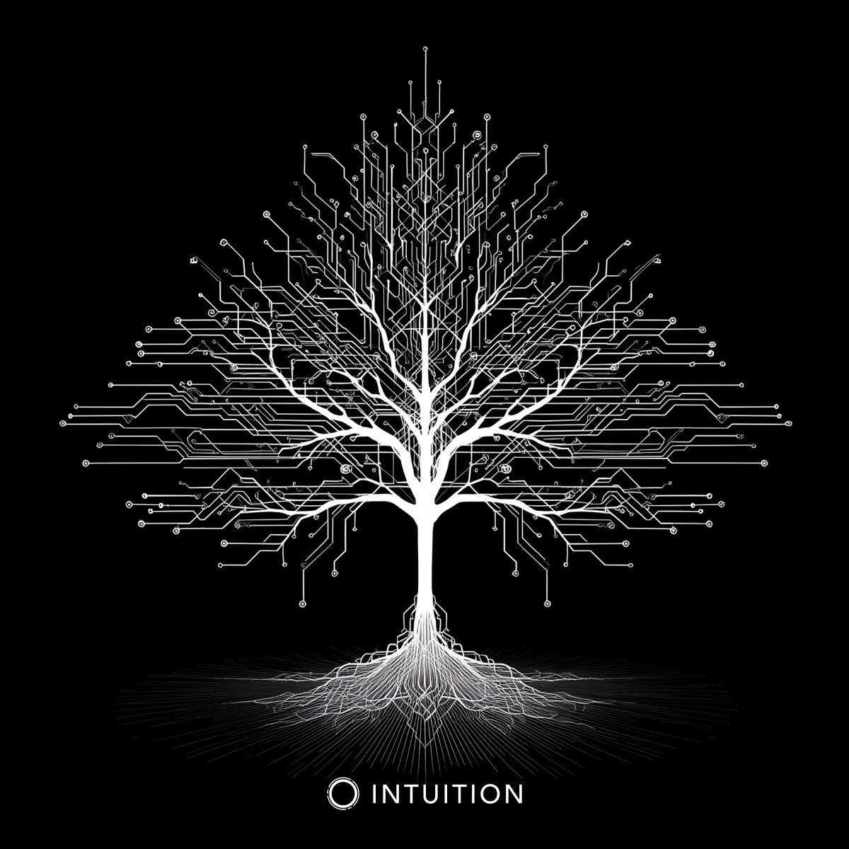 Intuition 👁️ tweet media