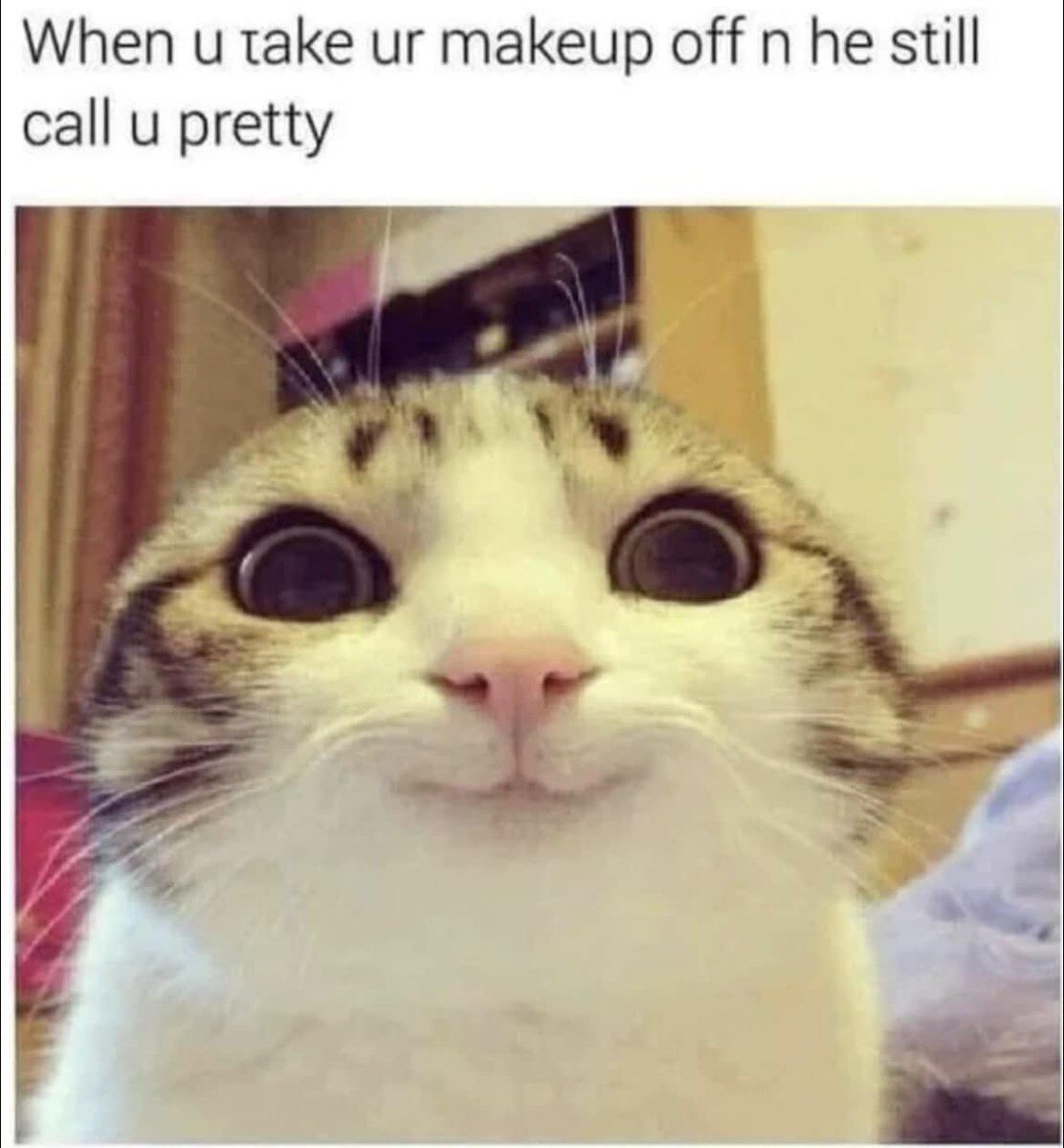 WholesomeMeme's tweet photo. https://t.co/asSlprJLEO