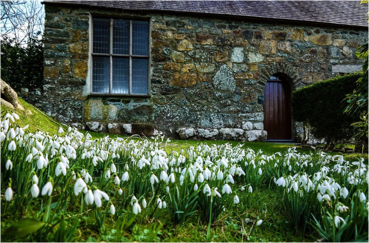 lluniaurich's tweet photo. Eirlysiau Eifionydd 🏴󠁧󠁢󠁷󠁬󠁳󠁿 https://t.co/pHNWBcffhP