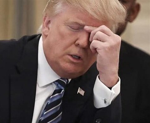 مهدی tweet media