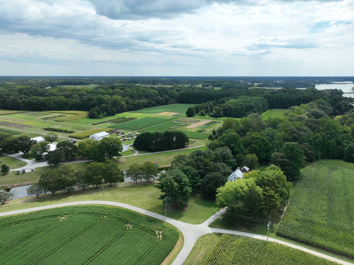 Kurt Vollmer tweet media