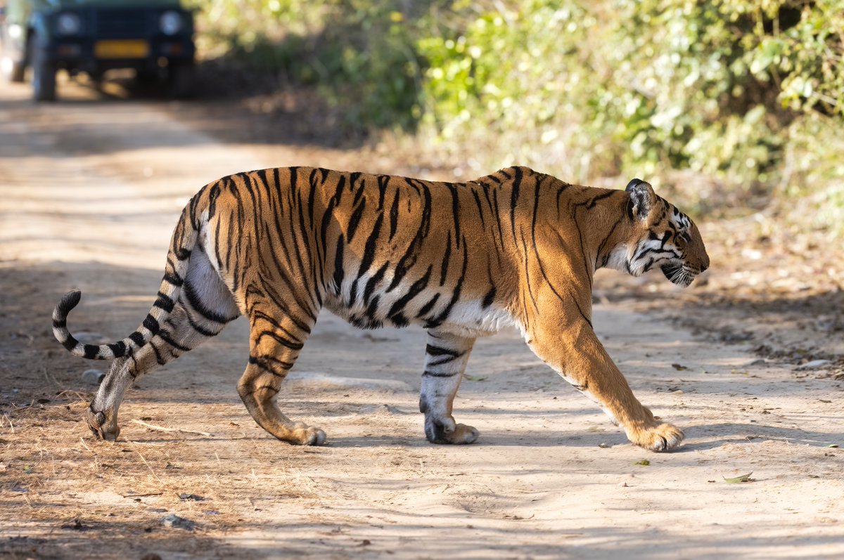 Ashley Howe tweet media