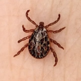 İlerideki nesil bu ikili hakkında hiçbir anlam çıkaramayacak.

#Sivasspor