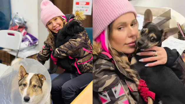 doda <a href="/DODAPL/">Dorota Rabczewska</a> ociepliła swój wizerunek akcją ze schroniskami, potem spotkała się z <a href="/NawrockiKn/">Karol Nawrocki</a> i uznała, że to wina Tuska, że batyr nie podpisał ustawy o psach na łańcuchu🤮🤮🤮
Pewnie liczy na ułaskawienie przez domniemanego🤮
A Wy się podniecacie jej "sercem" do zwierząt😢