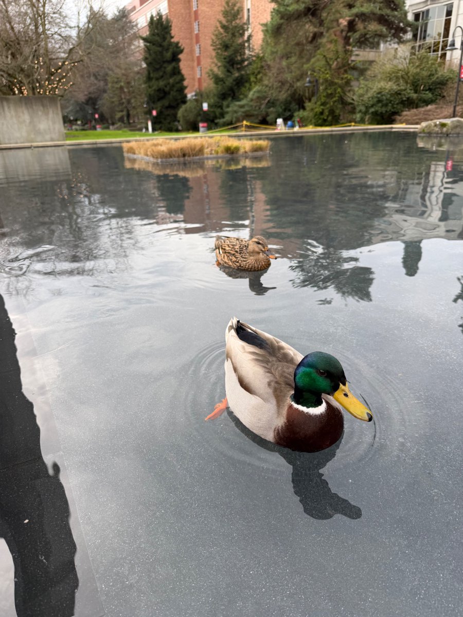 Eduardo M. Peñalver tweet media