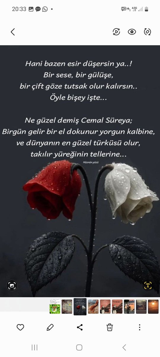 ahiret icin calısan (@cukadarzab1749) on Twitter photo 