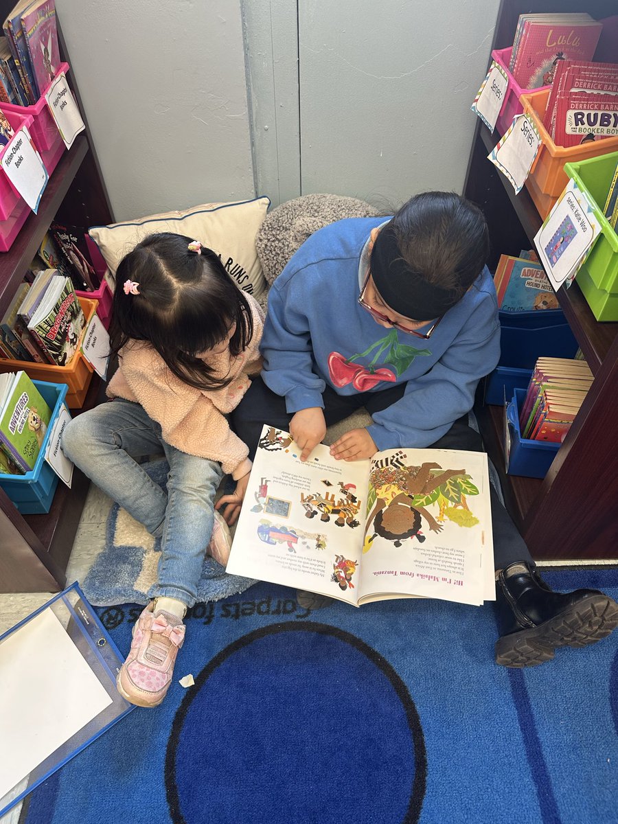 PS 249 The Caton School tweet media