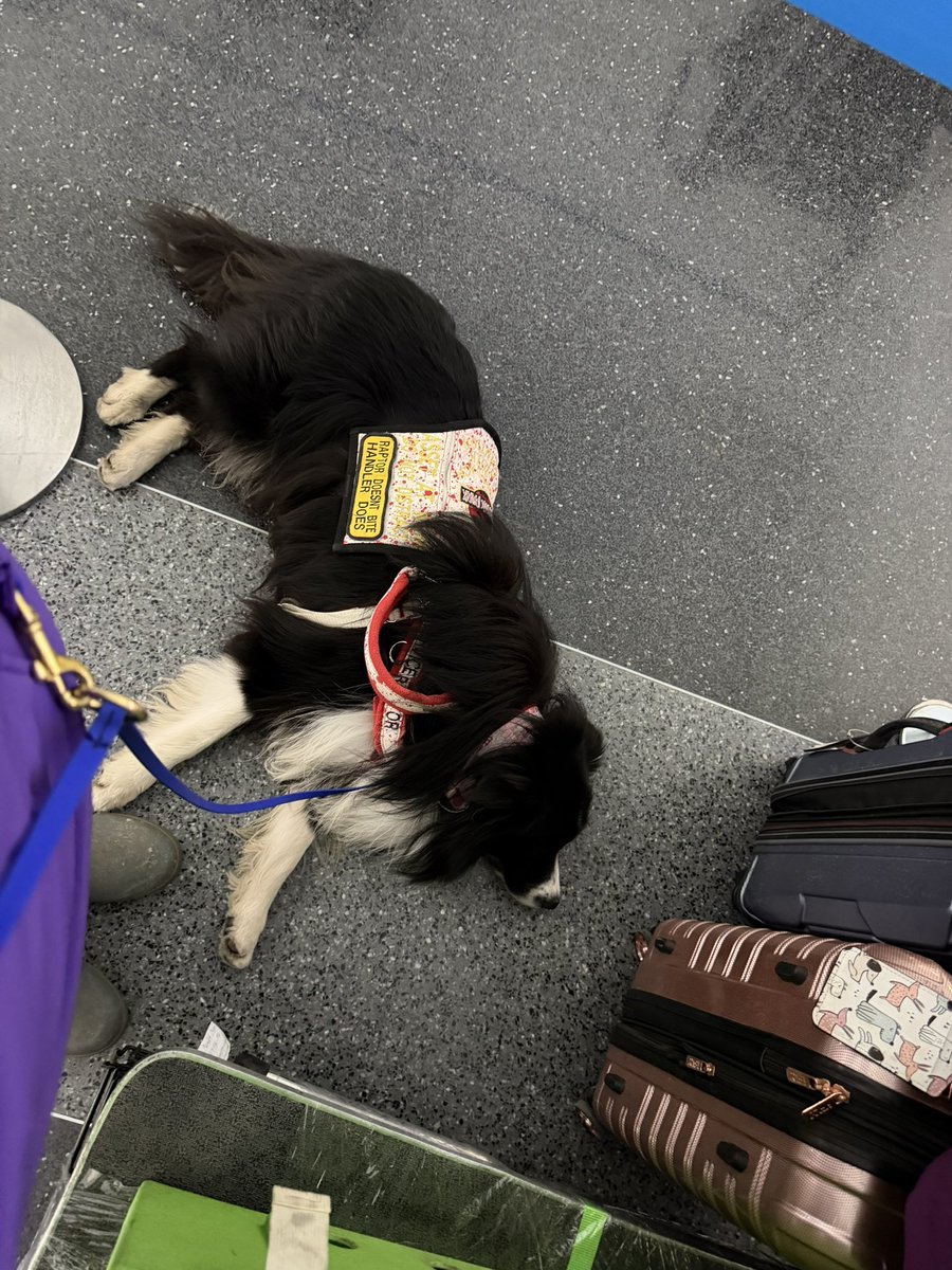 Meredith Mapes tweet media