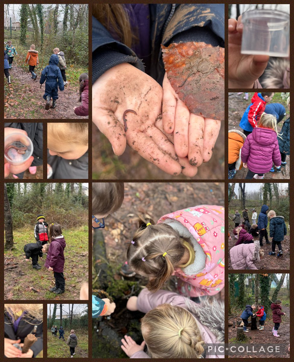 MrsFarrNCP's tweet photo. We’re going on a worm hunt.
We’re going to catch a long one 🪱 
#ForestSchools #SeizeTheSeason #BigSchoolsBirdwatch @nantcelynschool https://t.co/MCp6Aed0Gr