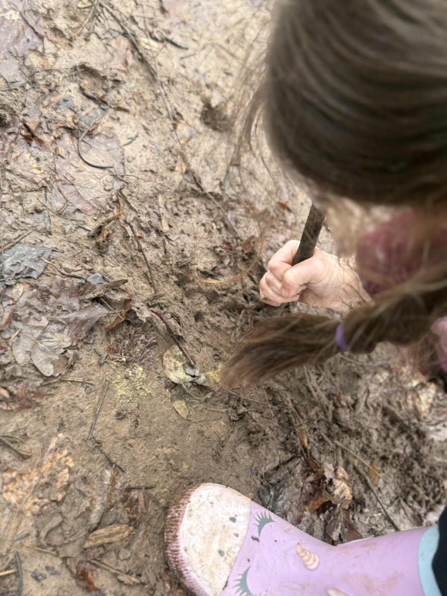 MrsFarrNCP's tweet photo. We’re going on a worm hunt.
We’re going to catch a long one 🪱 
#ForestSchools #SeizeTheSeason #BigSchoolsBirdwatch @nantcelynschool https://t.co/MCp6Aed0Gr