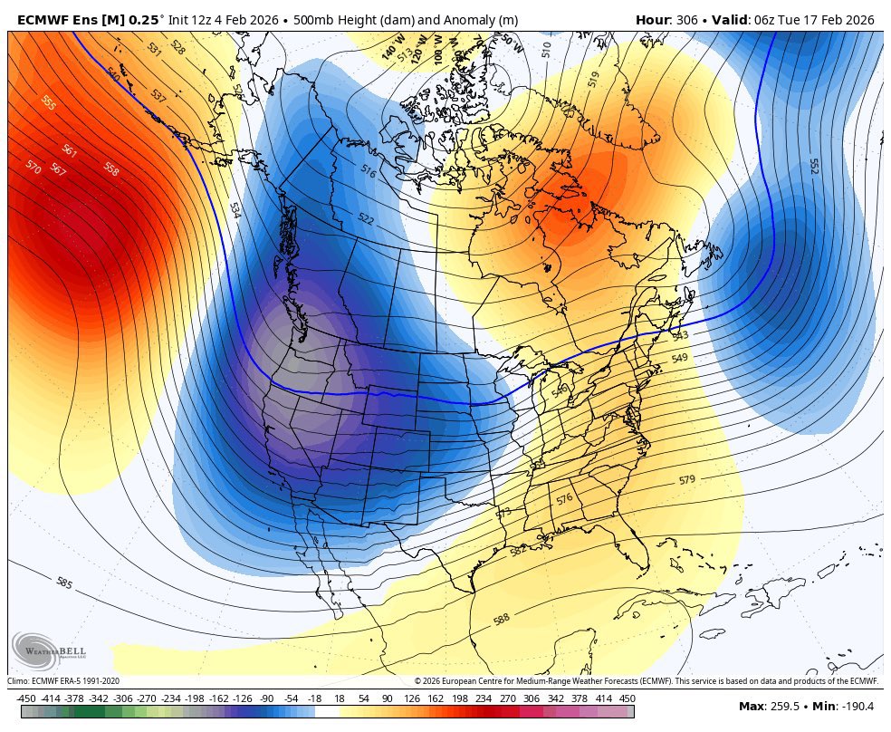 Vlad Raducu🇨🇦 tweet media