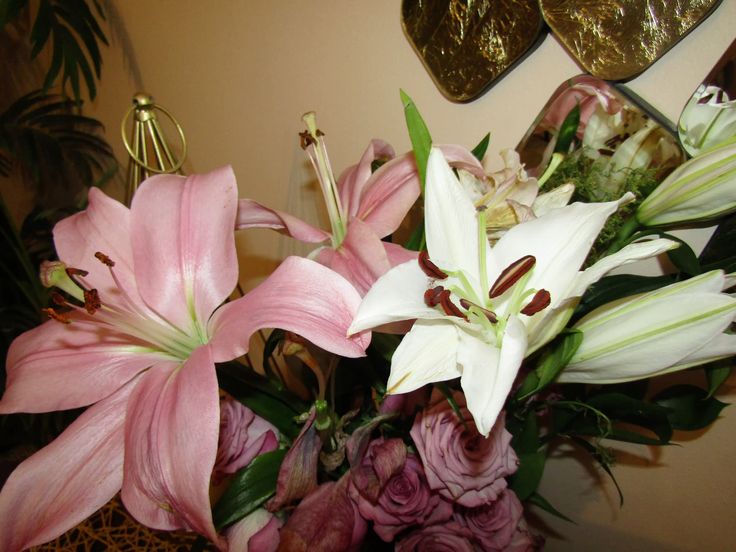 Nooni (@chaarpaai) on Twitter photo 