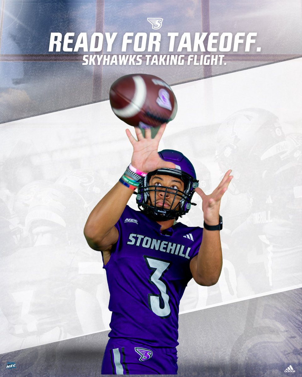 Stonehill Football #DIG tweet media