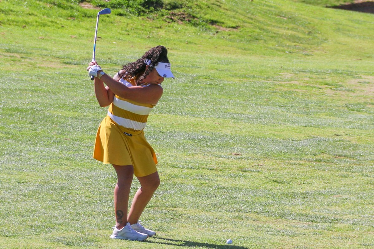 Professional Golfers Career College tweet media