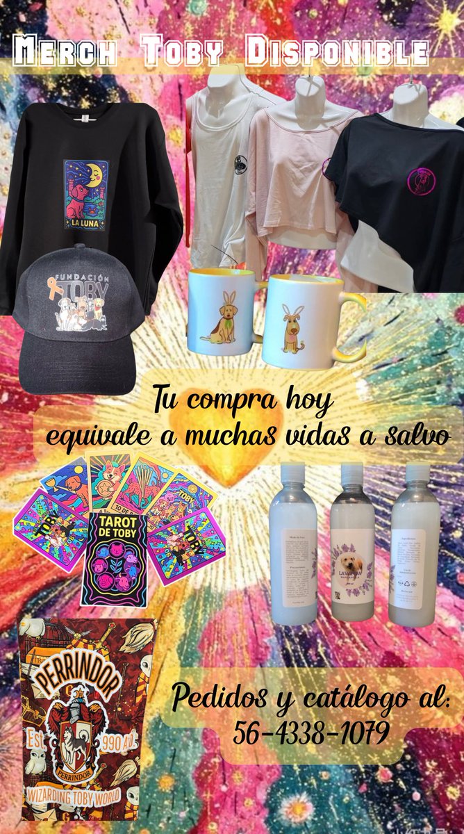 FundacionToby's tweet image. Estimada comunidad Toby!!
Tenemos mucha merch disponible 🙌🏼💙
Tenemos blusitas asimétricas, sudaderas oversize, ropa para hacer deporte, tazas, shampoo para lomitos, el bellísimo tarot 🔮

Nuestro catálogo completo lo encuentran con Clau en el WhatsApp +52 56 4338 1079