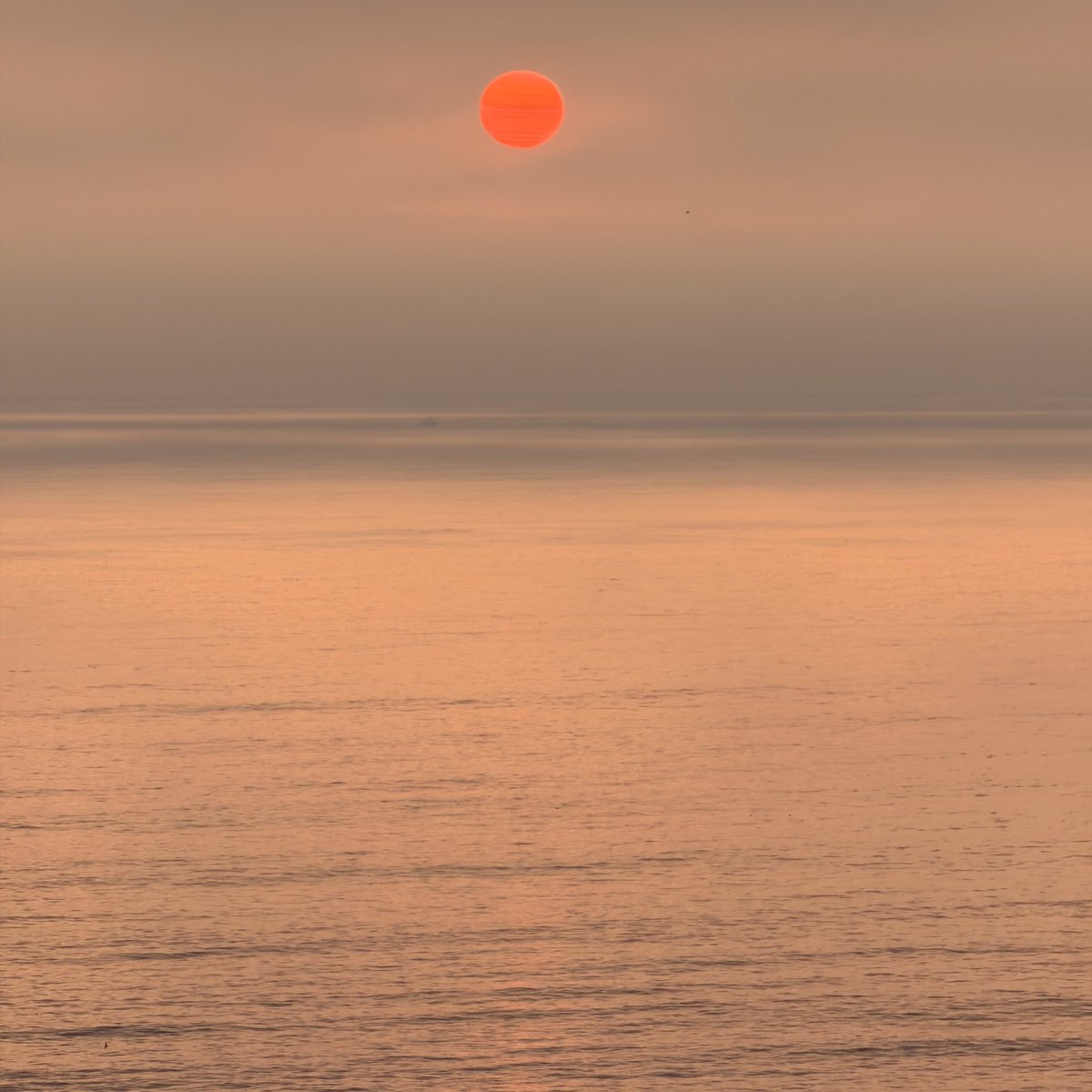 geoff.gg tweet media