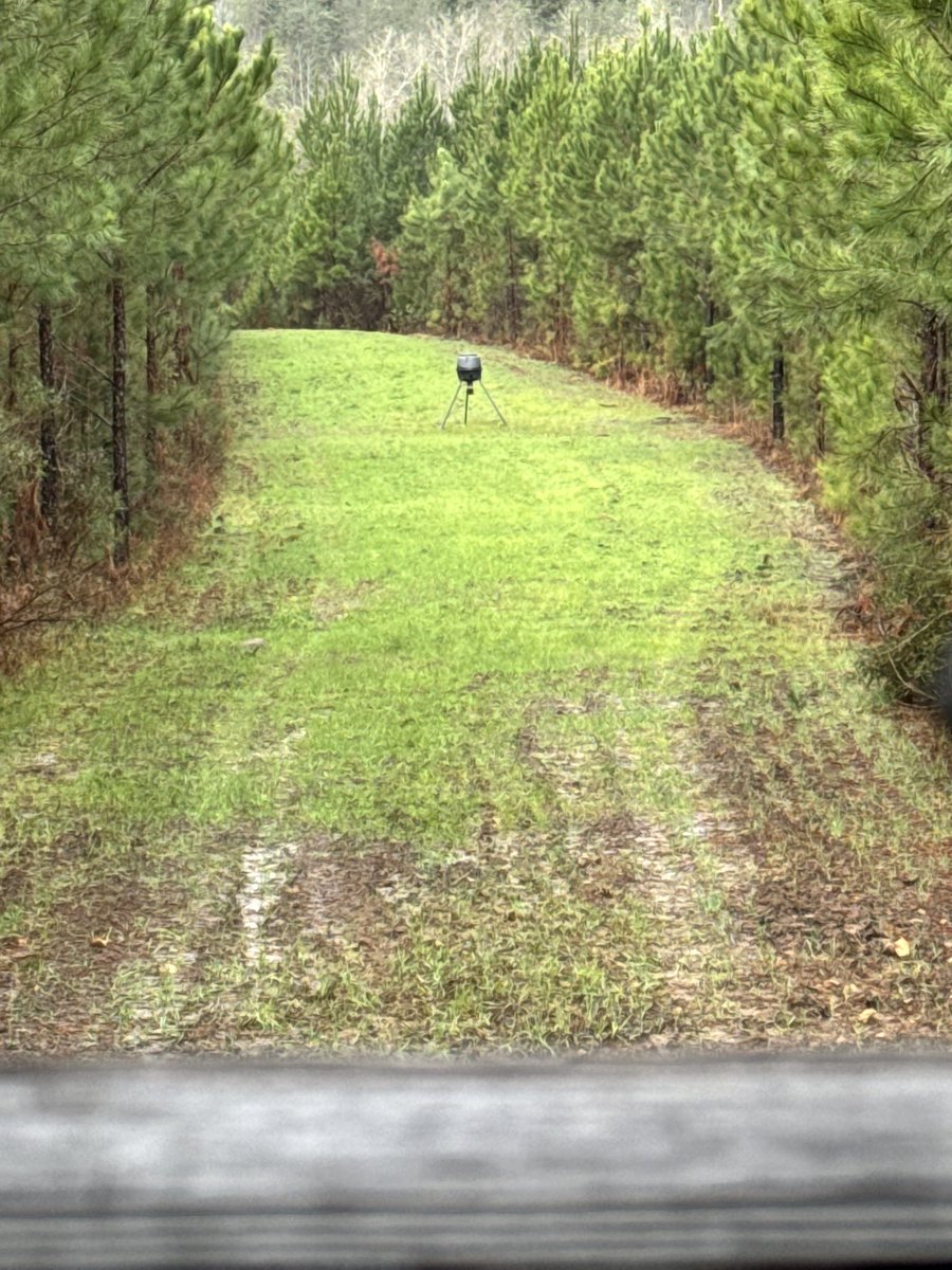 Good afternoon from LA!!