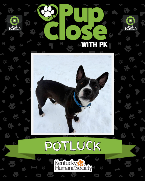 ALT 105.1 📻 tweet media