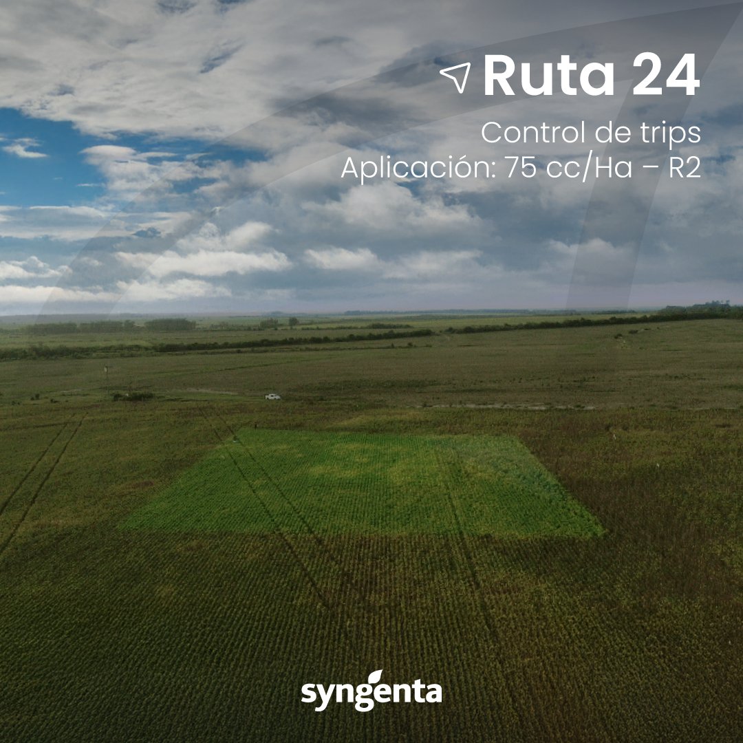 Syngenta Uruguay tweet media