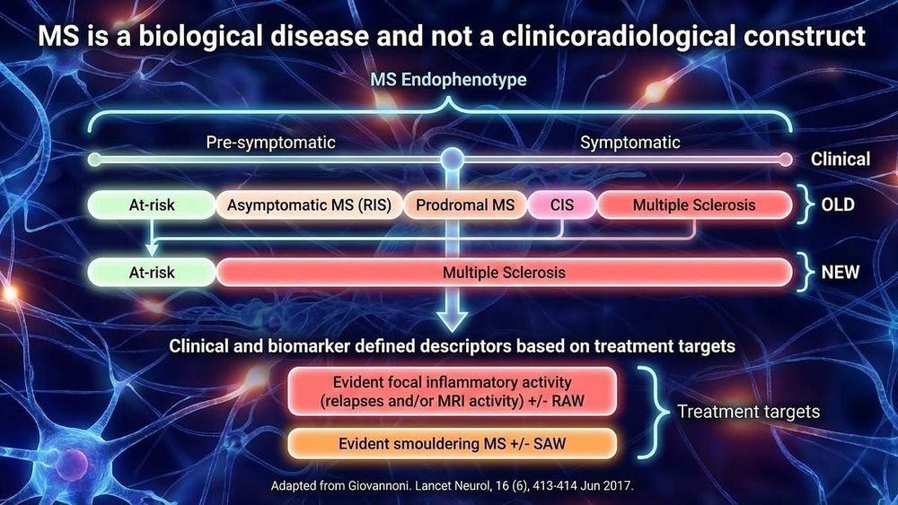 Dr. Brandon Beaber tweet media