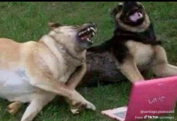 Venus (@venus_babes_) on Twitter photo 