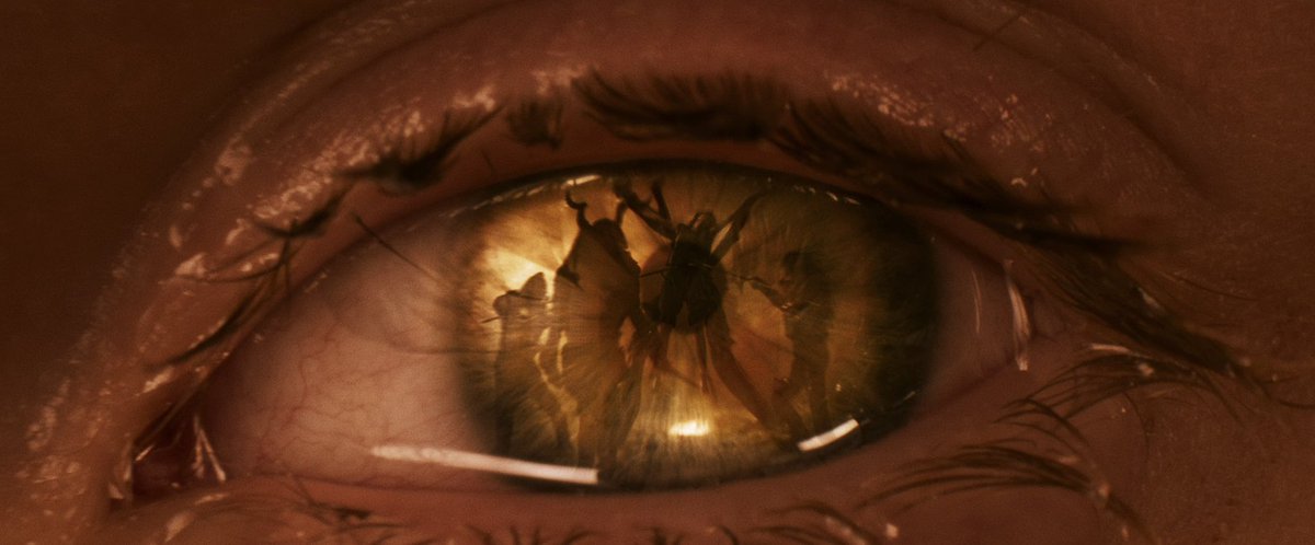 CS11__'s tweet photo. Thinking about one of the greatest films of the decade. https://t.co/Ok5yXoImyd