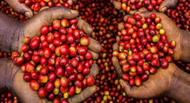 CICD_Uganda's tweet photo. The team drives grassroots transformation, focusing on empowering vulnerable youth and women through the Livelihood Development Accelerator program, skills training, and strengthening community resilience.
#ExploreBuhweju
#CICDUganda
#TransformativeProjects https://t.co/MJ2tuQa6ZB