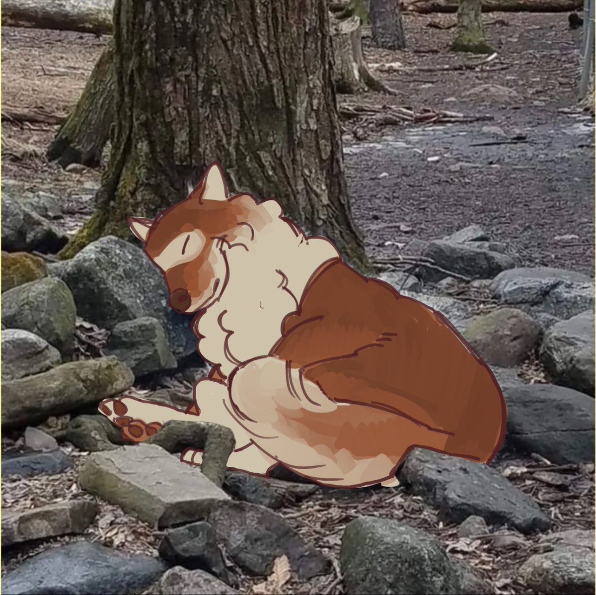 sacriou's tweet photo. Not feeling well so my solution was to draw over more wolf pictures https://t.co/Pl7BjDgzTf