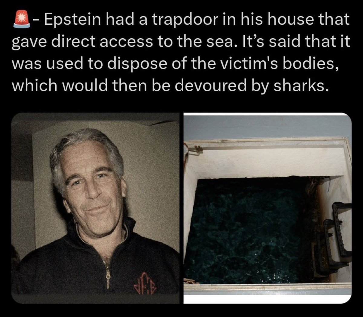 scaryunderwater's tweet photo. Please tell me this is fake I cannot think of a greater horror than this 🫣 https://t.co/eRp9bXA48I