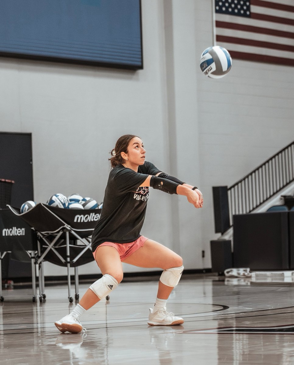 DBU Volleyball tweet media