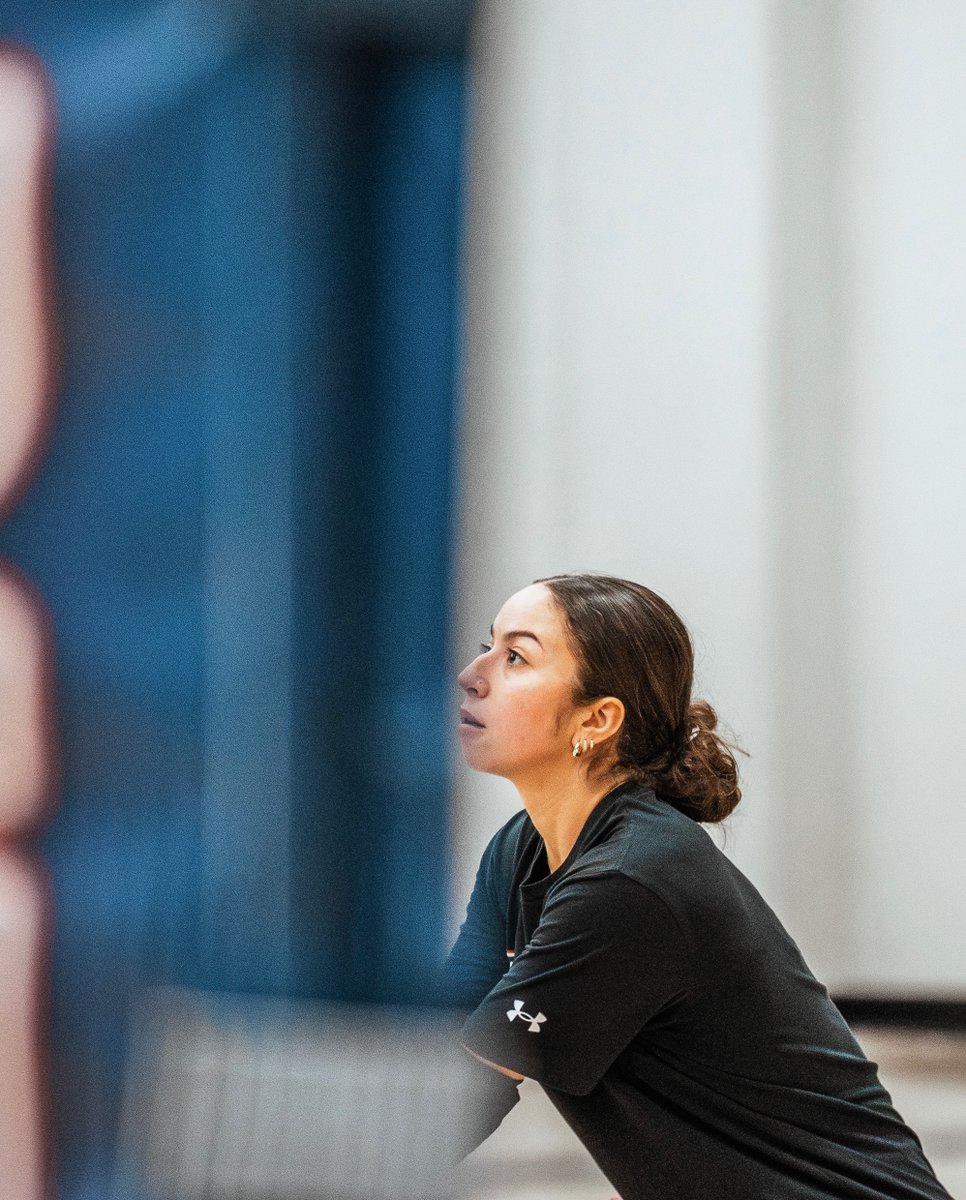 DBU Volleyball tweet media