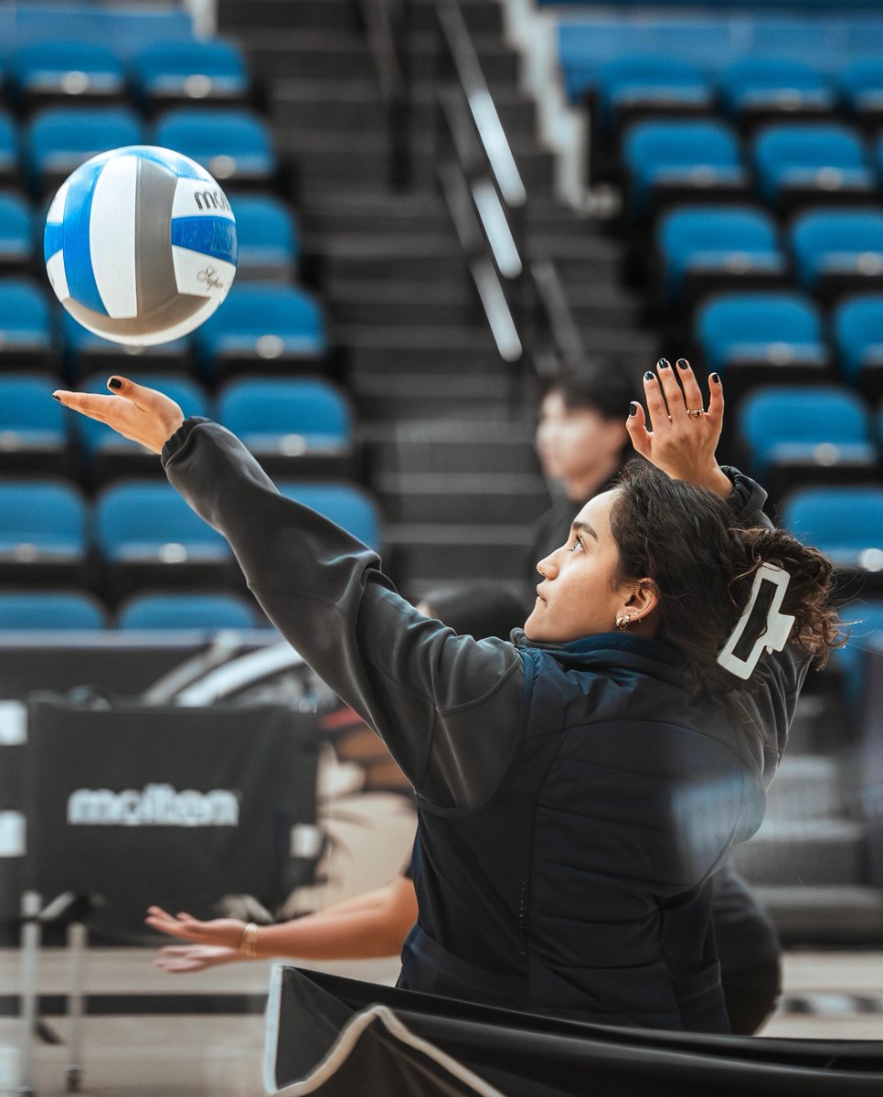 DBU Volleyball tweet media