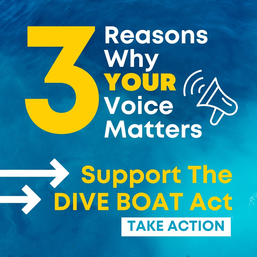 GoDiveNow's tweet photo. 🤿 Divers—U.S. insurance hikes are driving up U.S. dive costs. 

1️⃣ Rising fees = higher prices 
2️⃣ Shops &amp; boats are struggling 
3️⃣ Congress can fix it with the DIVE BOAT Act

Even if you’ve helped before, we need your voice again!  👉 https://t.co/XeyZly9II5 https://t.co/zTUMD8mZmo