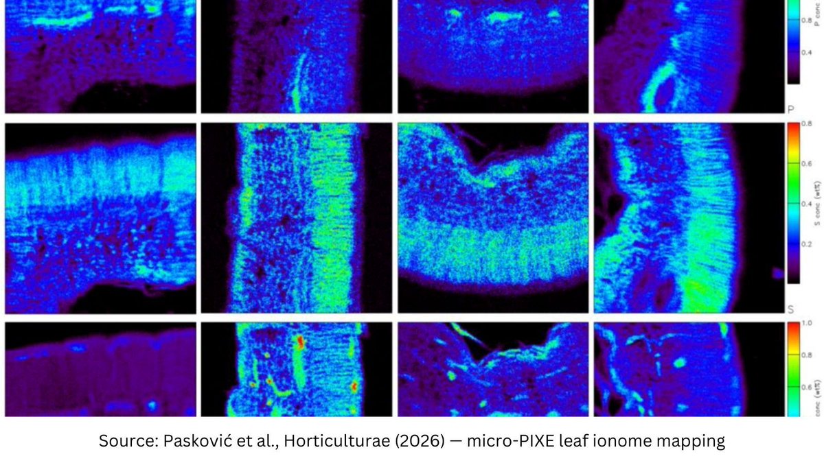 CID Bio-Science tweet media