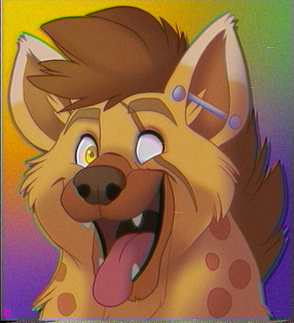 Moxi Foxi tweet media