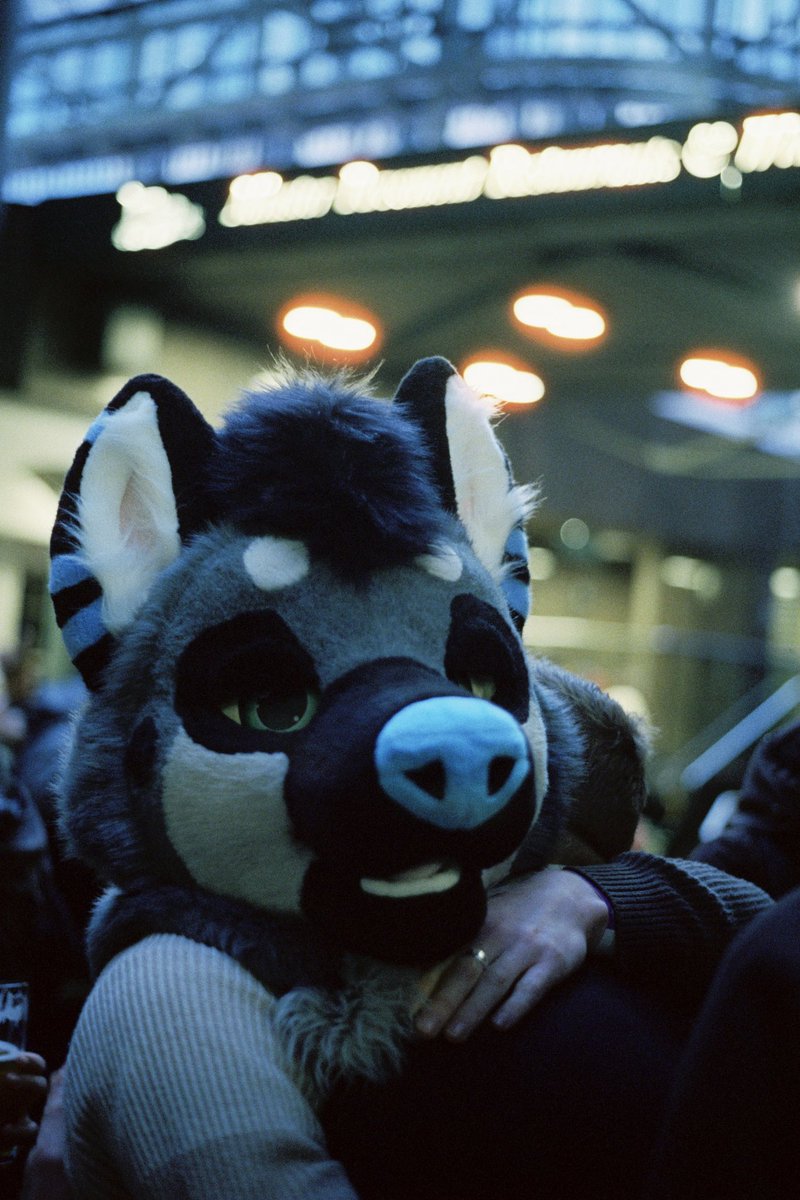 Giz-alicious tweet media