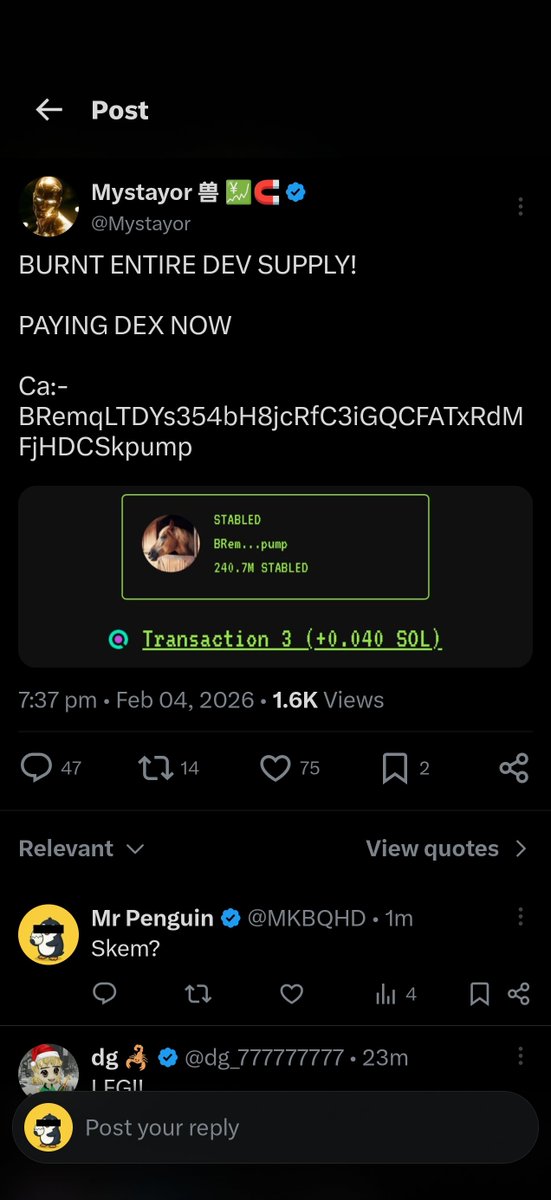 Mr Penguin tweet media