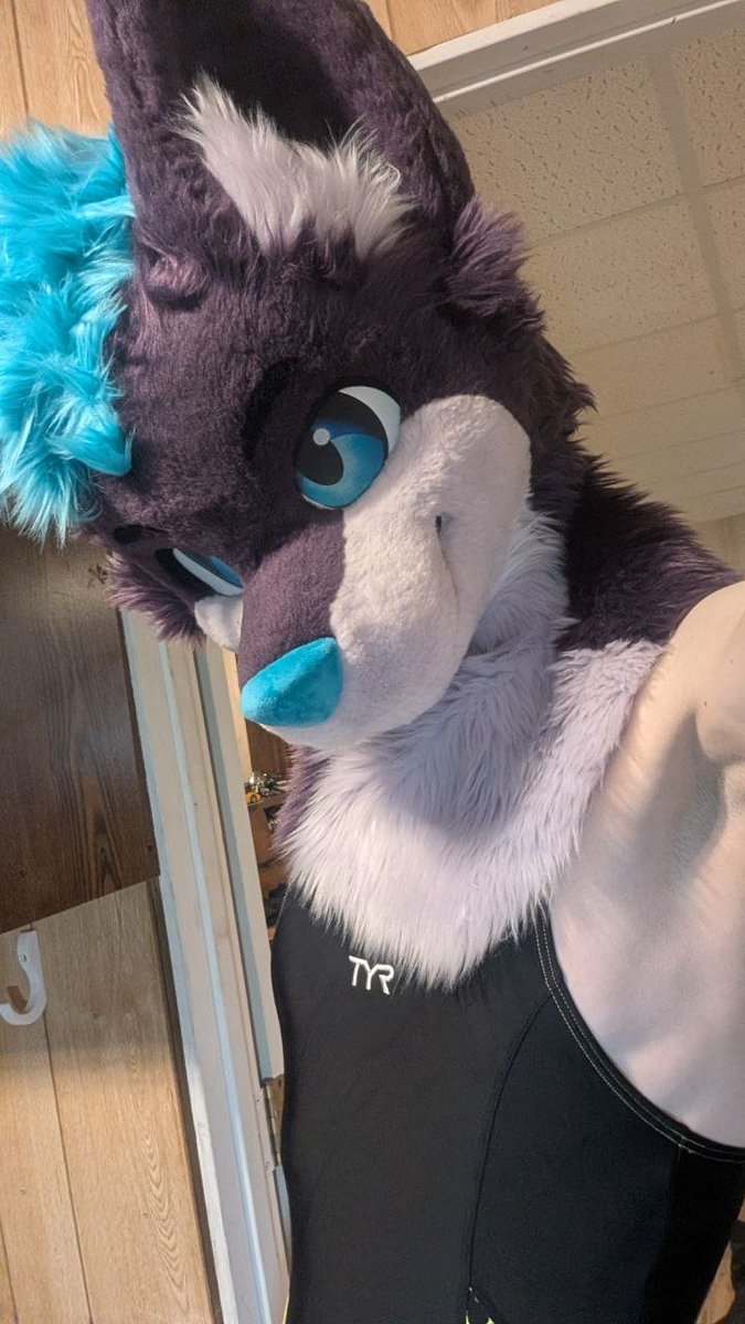 Kal🦈 🔜 FWA, AC tweet media