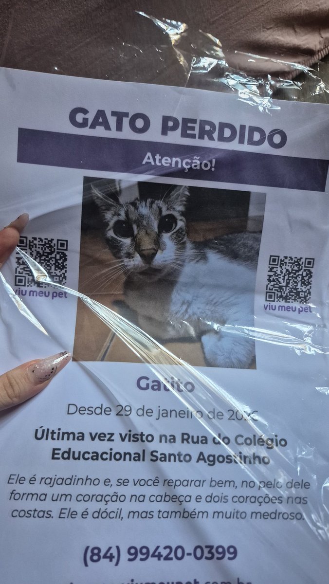 brunnhas's tweet photo. fui imprimir o cartaz de gatito em colorido e a moça fez pelo valor em preto e branco

me deu vontade de chorar na hr https://t.co/c5UmpSyIZo