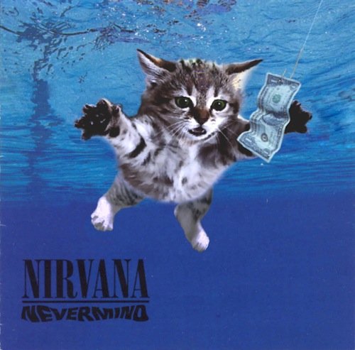 Something in the way 

$GME 😼