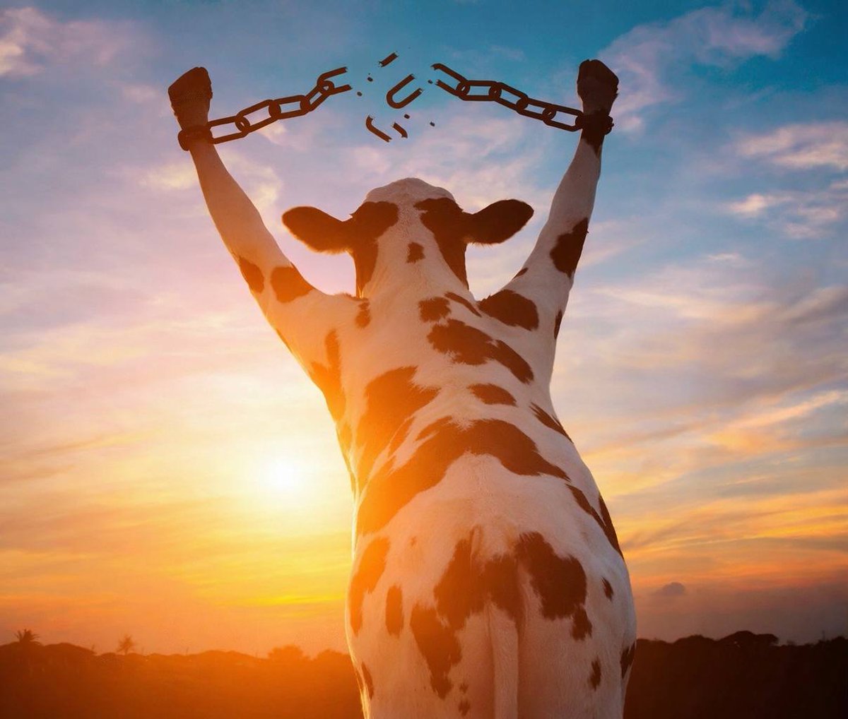 Goyim will break free.