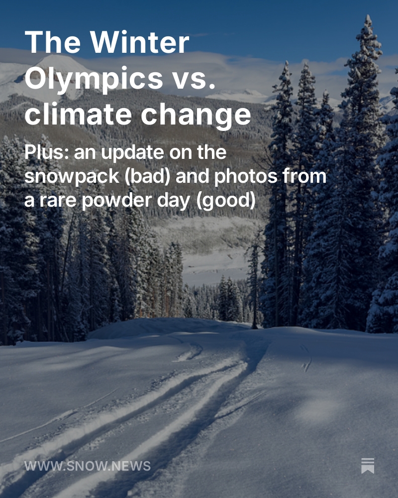 Mitch Tobin tweet media