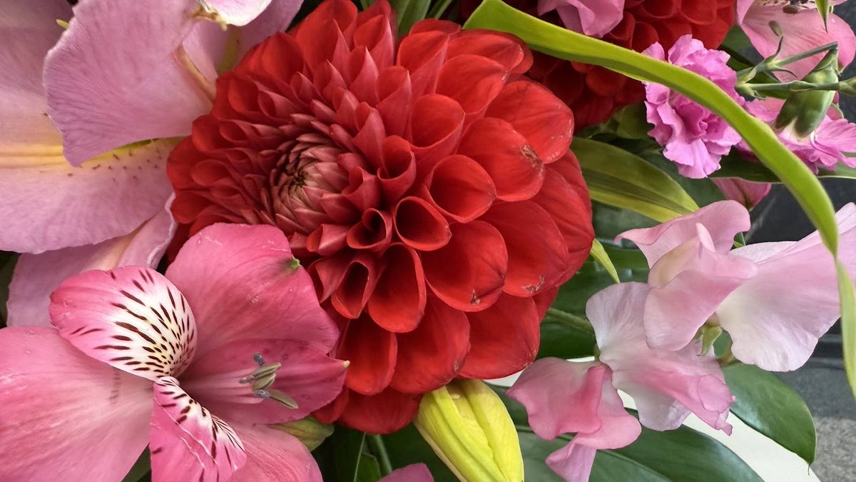 【神人 今日の一言2026.2.5】
〜己という存在〜

宇宙人
銀河人
地球人
◯国人
◯都道府県人
◯市町村人
◯家の人
人

人の集合体は大小がありますが
いずれにせよ己は
すべての集合体の一因子なのです

ですから己が変われば
集合体が変化する因果となります

己が何をどのようにしたいのか？